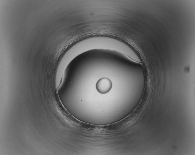 X0000115120493200911171331