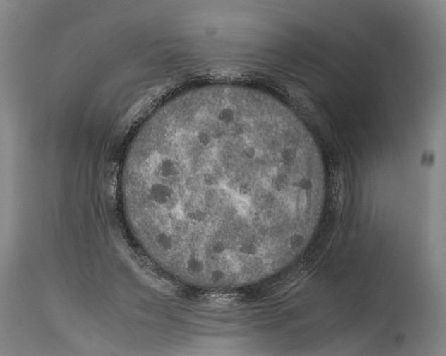 X0000115120495200911171331
