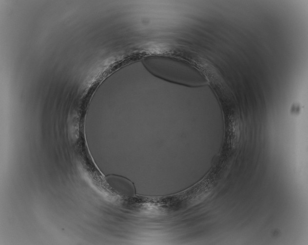 X0000115120496200911171331