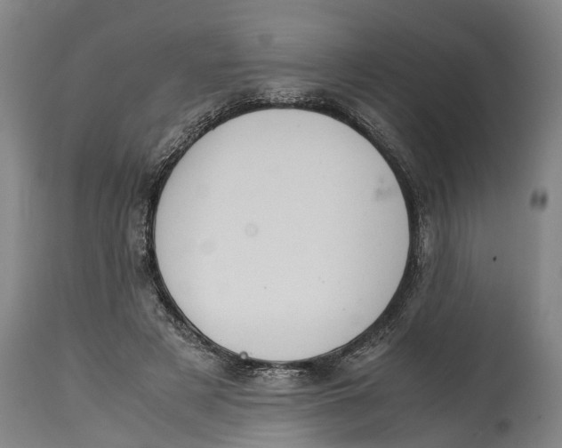 X0000115120497200911171331