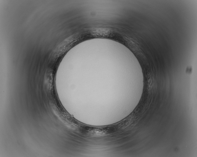 X0000115120498200911171331