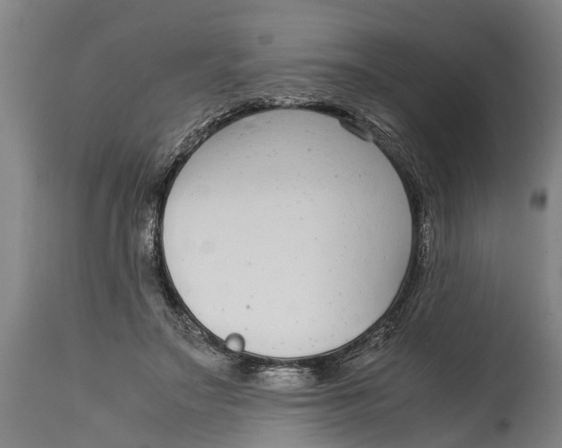 X0000115120499200911171331