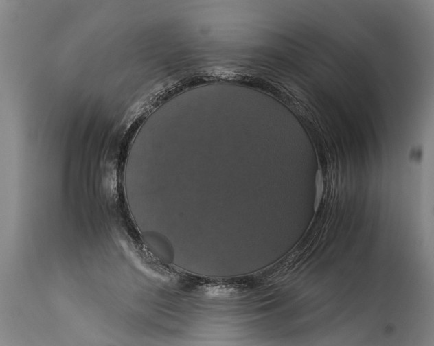 X0000115120500200911171331