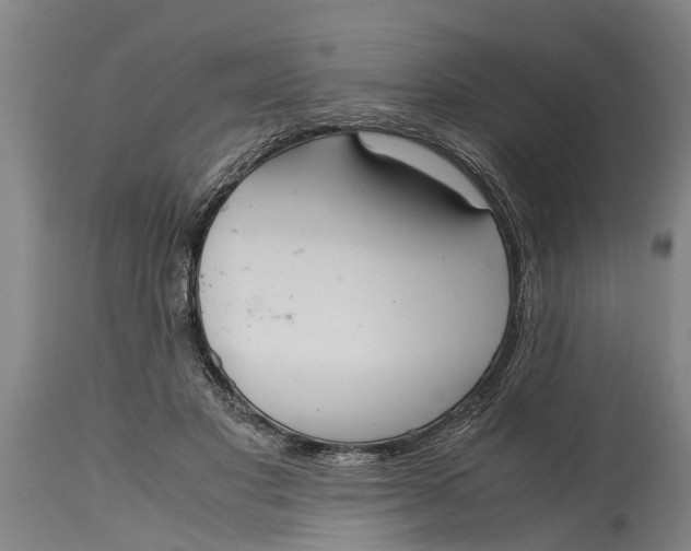 X0000115120501200911171331