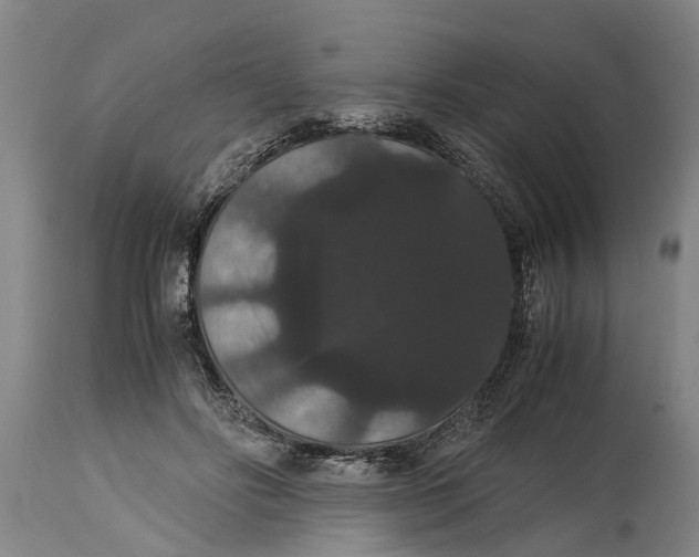 X0000115120502200911171331