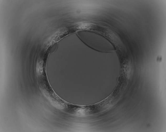 X0000115120504200911171331
