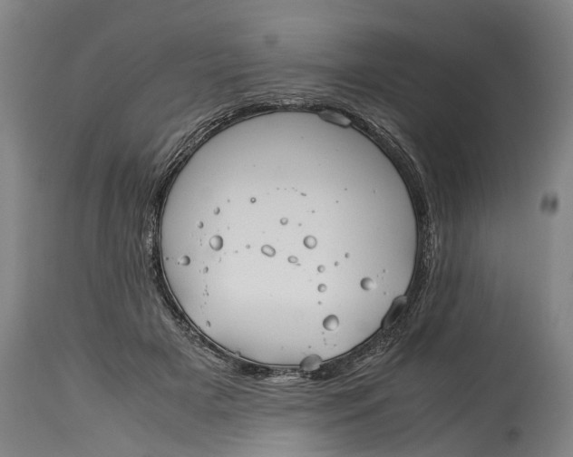 X0000115120505200911171331