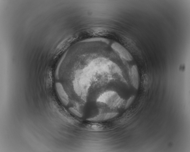 X0000115120506200911171331