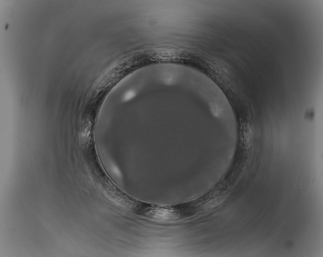 X0000115120507200911171331