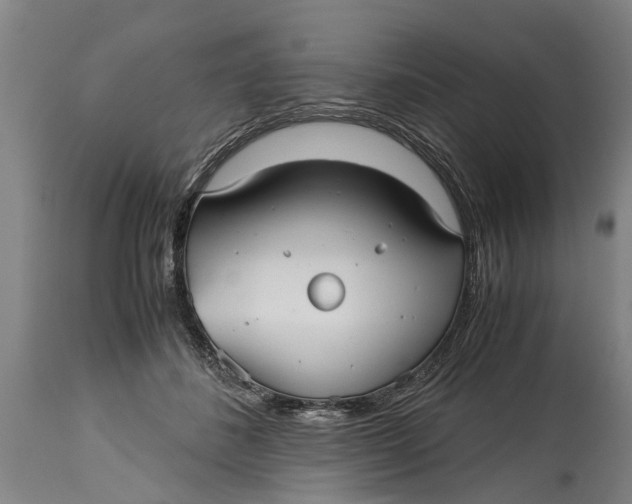 X0000115120508200911171331