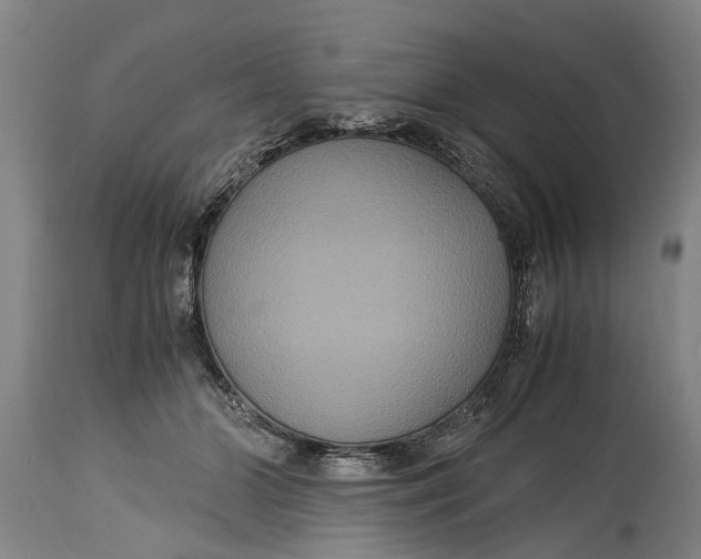 X0000115120510200911171331