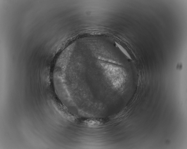 X0000115120512200911171331