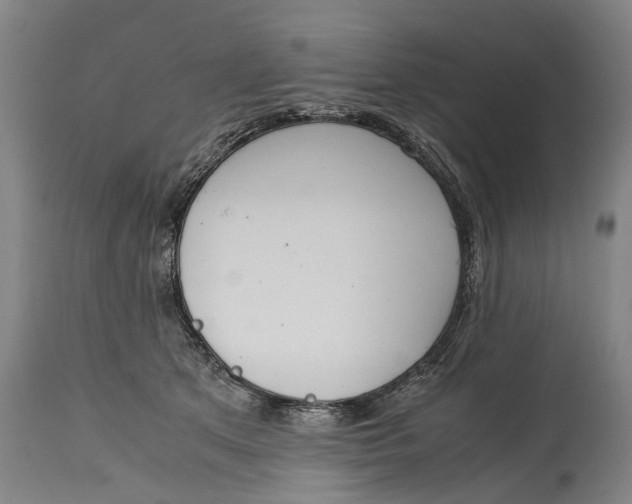 X0000115120513200911171331