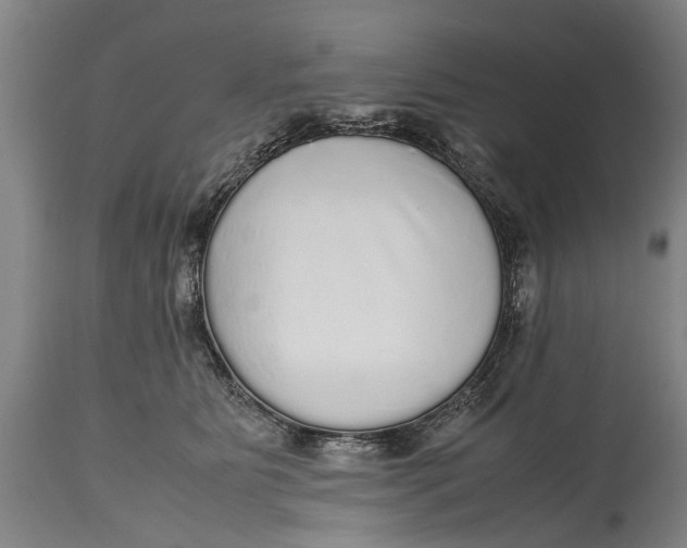 X0000115120515200911171331