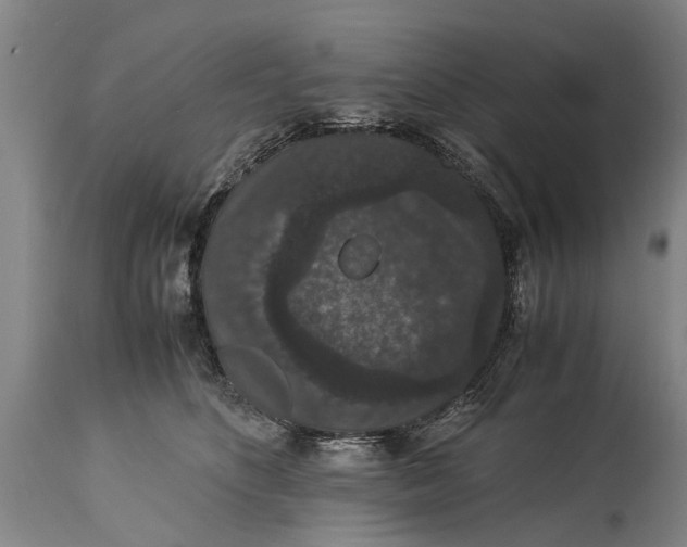 X0000115120516200911171331