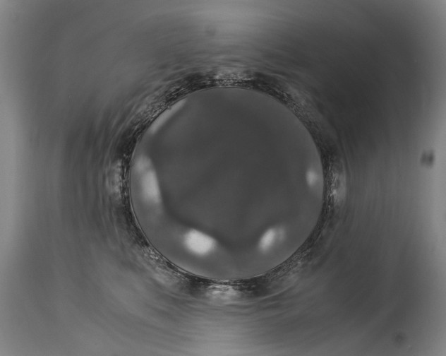 X0000115120519200911171331