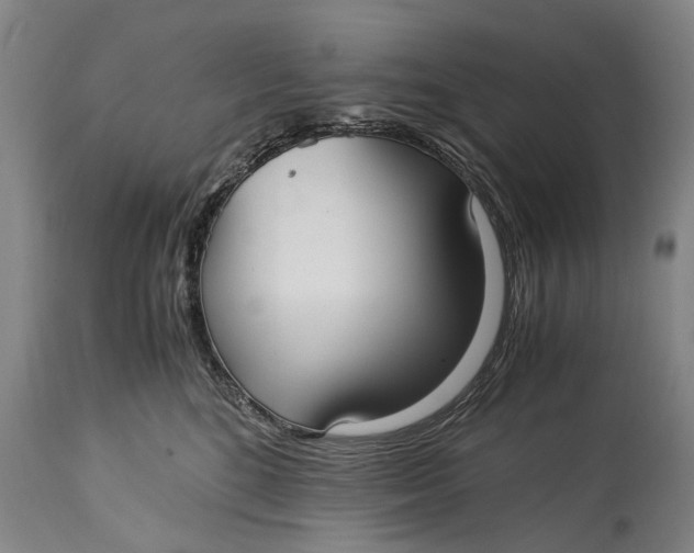 X0000115120520200911171331