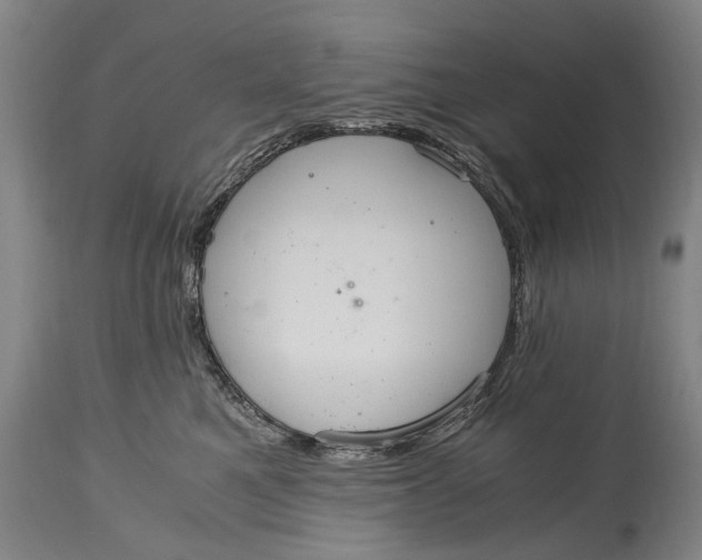 X0000115120521200911171331