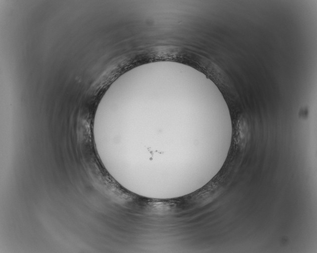 X0000115120522200911171331