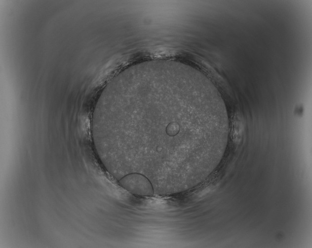 X0000115120523200911171331
