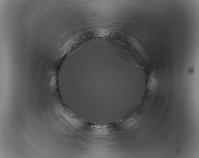 X0000115120524200911171331