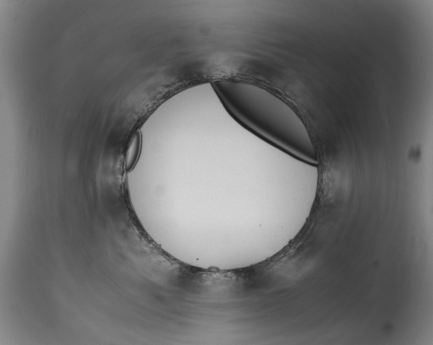X0000115120525200911171331