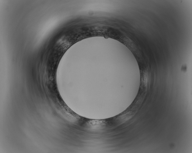 X0000115120526200911171331