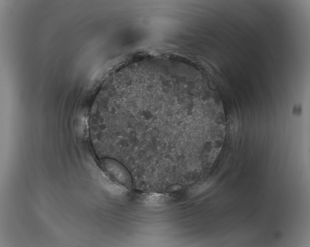 X0000115120527200911171331