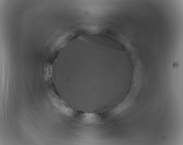 X0000115120528200911171331
