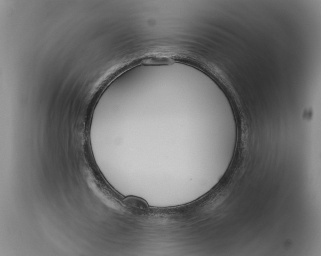 X0000115120530200911171330