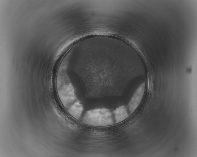 X0000115120531200911171330