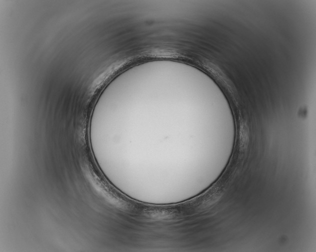 X0000115120533200911171330