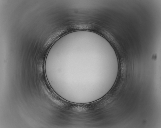 X0000115120537200911171330