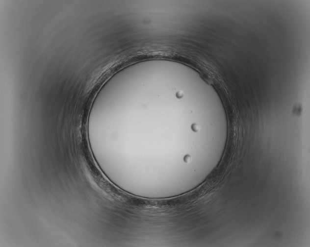 X0000115120538200911171330