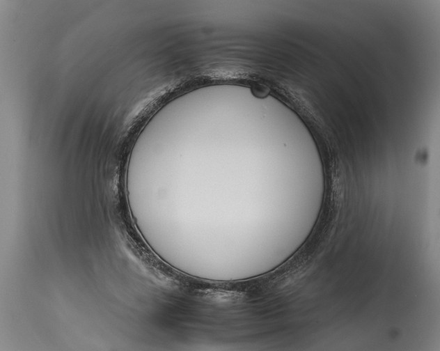 X0000115120539200911171330