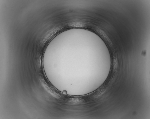 X0000115120541200911171330