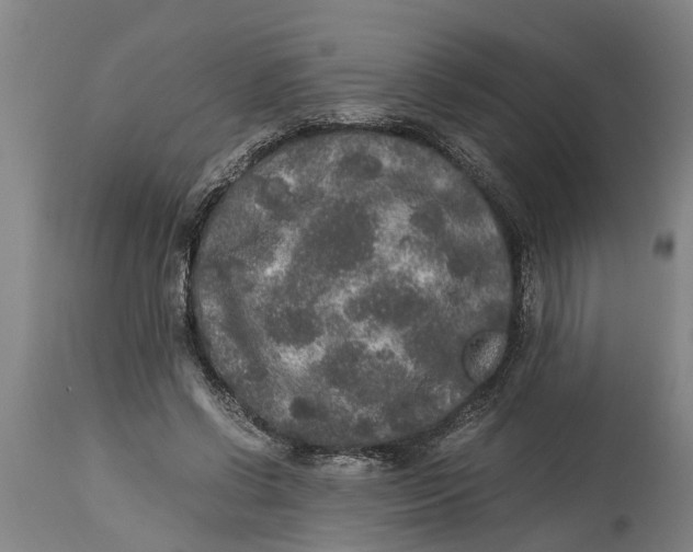 X0000115120542200911171330