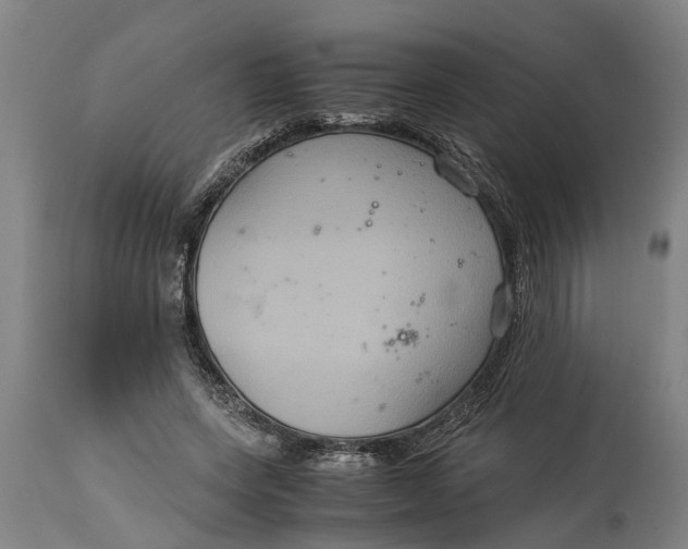 X0000115120543200911171330