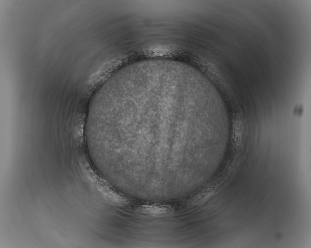 X0000115120545200911171330