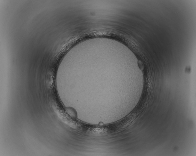 X0000115120546200911171330