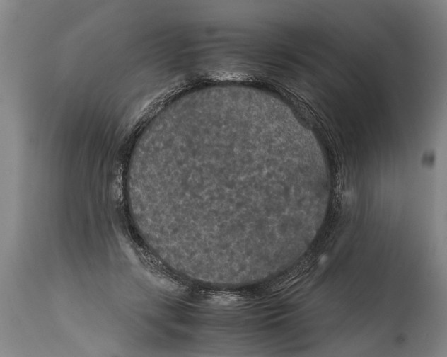 X0000115120547200911171330