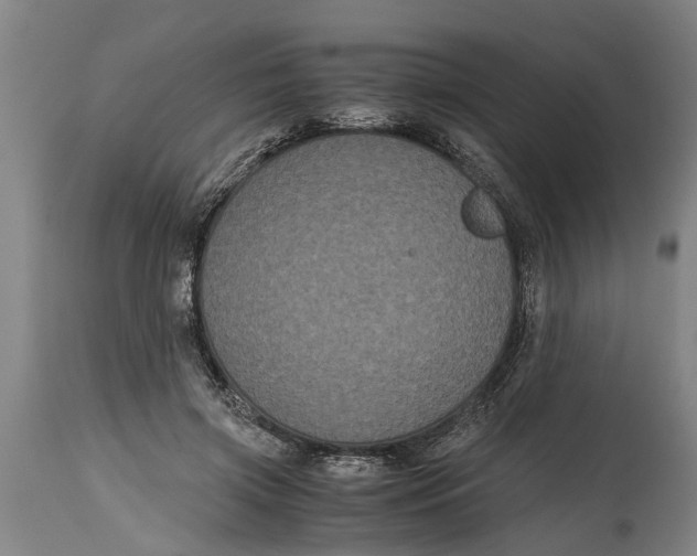 X0000115120549200911171330