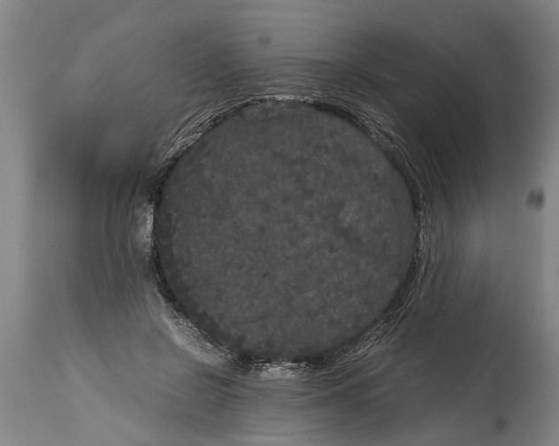X0000115120550200911171330