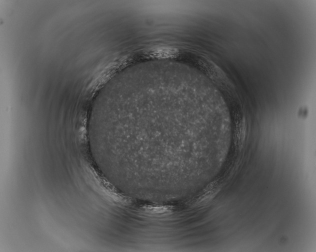 X0000115120553200911171330