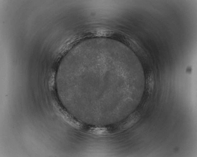 X0000115120554200911171330