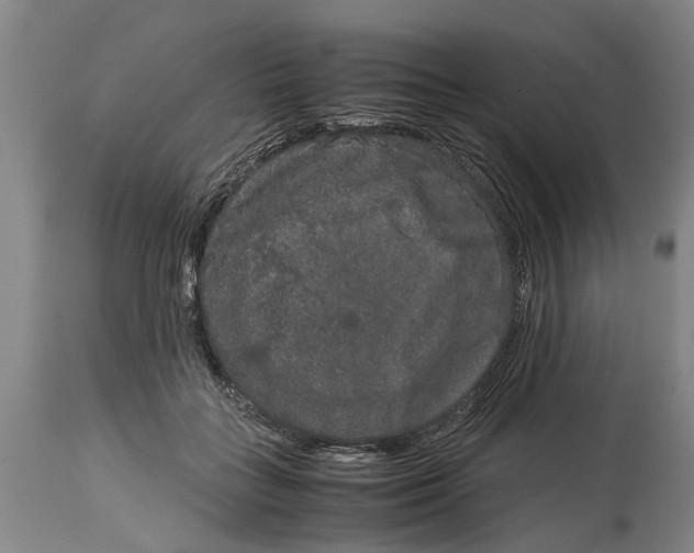 X0000115120555200911171330