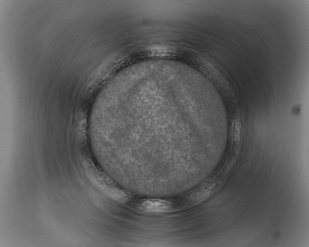X0000115120557200911171330