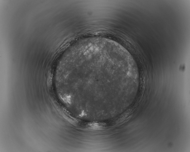 X0000115120558200911171330