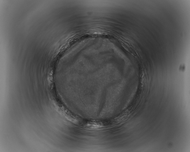 X0000115120559200911171330