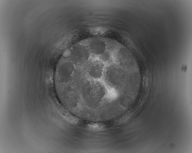 X0000115120561200911171330